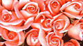 Valentýnka s růžemi