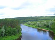 Lotysko
