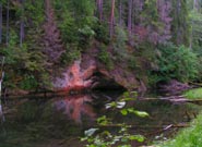 Lotysko